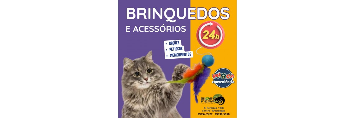 brinquedos 24hrs